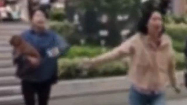 大妈遛狗不牵绳发生冲突，还要让狗和孩子比比谁更听话，嚣张发言引路人众怒！