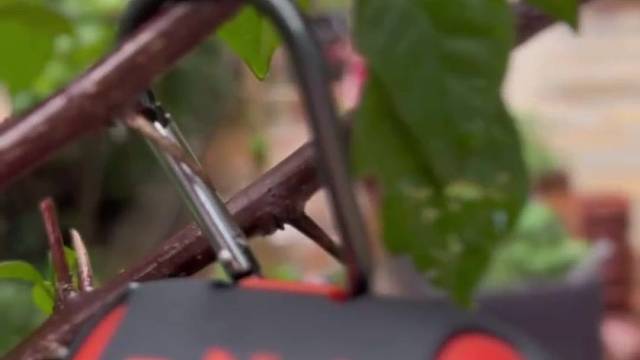 咱带登山扣.想挂哪里挂哪里