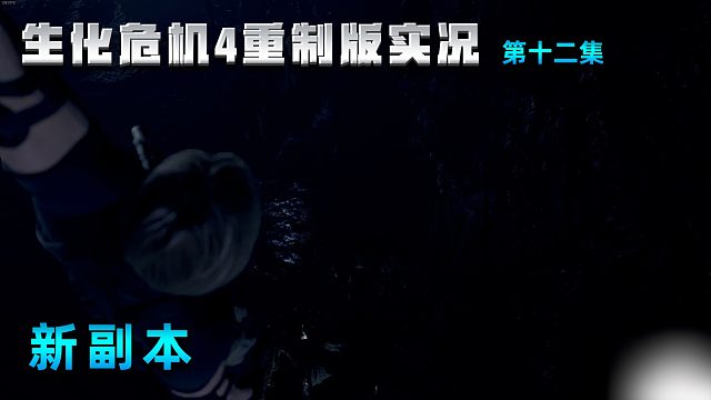 12新副本