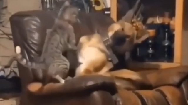 这位子也是你能坐的？