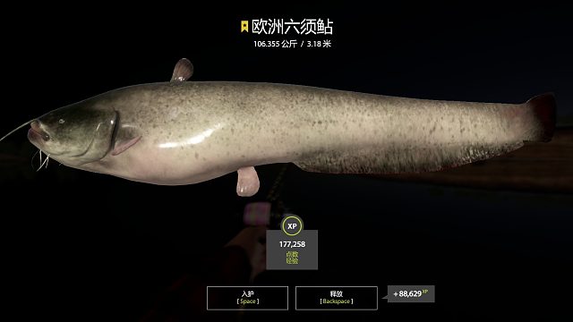 每周2星任务完成。