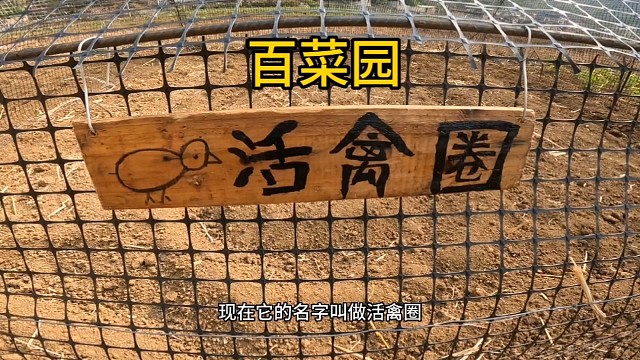 百菜园的活禽圈打造别墅了