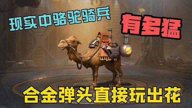 现实中骆驼骑兵有多猛？合金弹头玩出花！