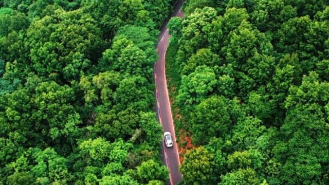 “从高淳老街到夫子庙，从新街口到鼓楼公园，南京的治愈能力都藏在沿途里，在繁华尽处，等盛夏落幕”#斯柯
