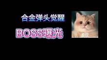 合金弹头觉醒BOSS曝光