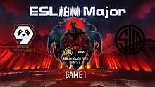 9Pandas vs TSM-1 ESL柏林Major