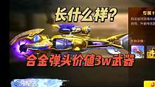 合金弹头价值3w武器长啥样？