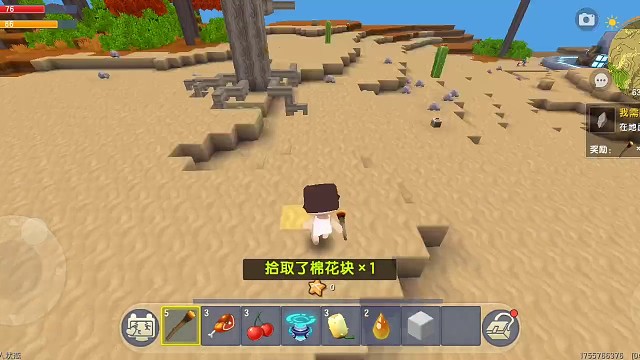 迷你世界冒险家