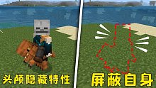 我的世界：頭顱可以屏蔽自身？5個(gè)你可能不知道的小技巧