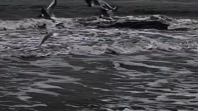 原来我们已经没有当初的感觉了