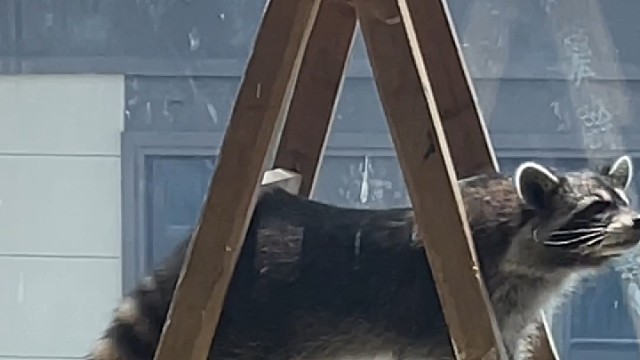 一天的活还没有干完，嘚继续干活