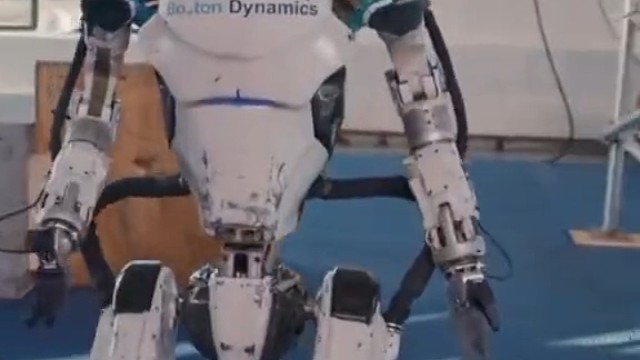 这小子做事不稳，毛手毛脚，还上蹿下跳的！