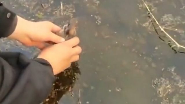 江湖绝技，水上漂