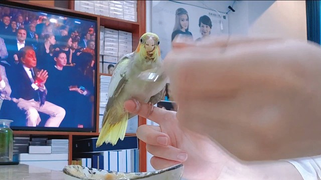 解锁干饭新姿势