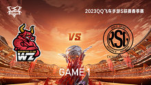 Wz vs RSG_1_QQ飞车手游S联赛春季赛