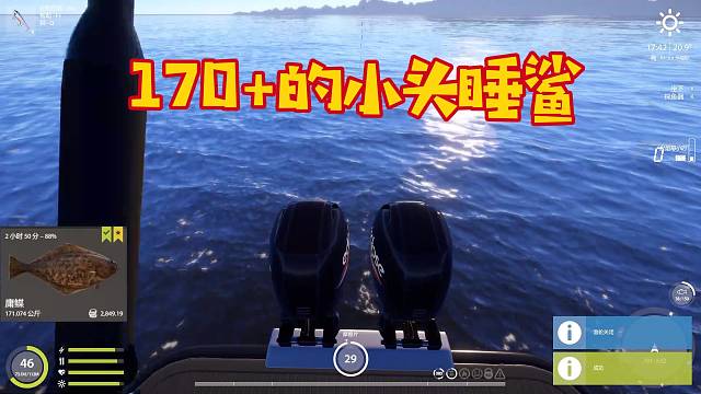 170 小睡鲨，还以为又是星庸鲽^_^