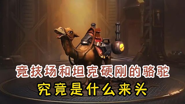 竞技场和坦克硬刚的骆驼，究竟是什么来头？