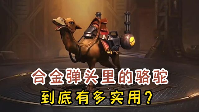 合金弹头里的骆驼，究竟有多实用？