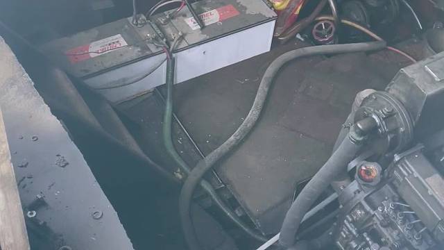 风浪越大鱼越贵