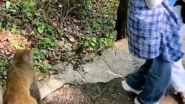 易到这种事应该不能慌…