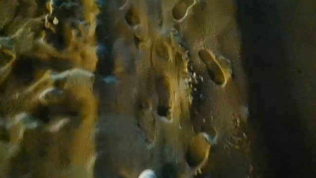 愿这咆哮的海浪声传向你在的方向