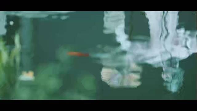 “连雨不知春去，一晴方觉夏深，怎能不忆江南”#全新柯迪亚克#苏州#斯柯达