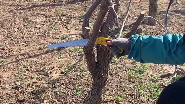 每位劳动者都是超人