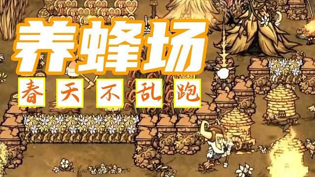 蜜蜂跑道！在家里养蜜蜂！完美解决蜜蜂发情！【饥荒联机版百科】