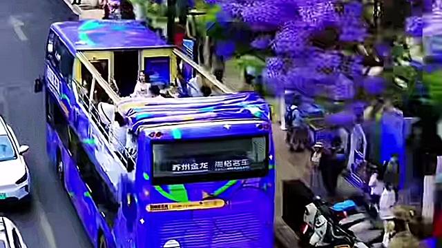 又见蓝花楹——街拍