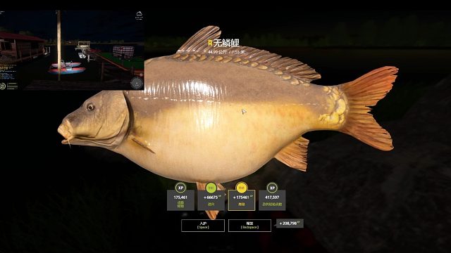 琥珀湖。究极下饭蓝无鳞鲤