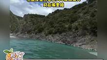 這角度屬實是有點刁鉆了