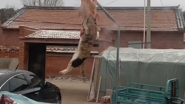 喊你爸才对Y[哈哈]