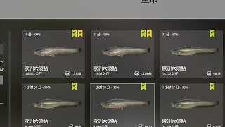 ??？這！