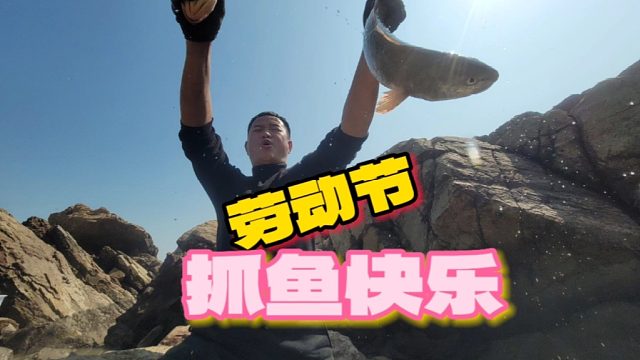 赤潮来袭大海一片红色，正是海鲜肥美时，坑中鱼获多得抓不过来