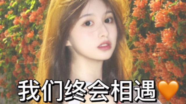 我们终会相遇