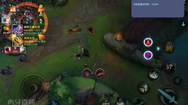 欢迎来到我的直播间