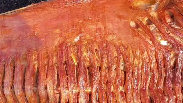 北京专业流动烤全羊