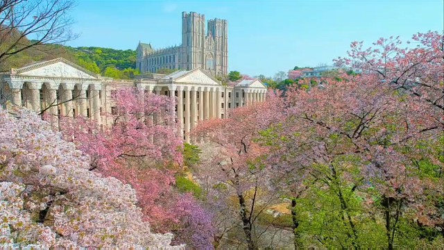 韩国庆熙大学