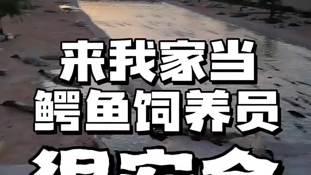 真的，都是真的！包吃包住的哦！