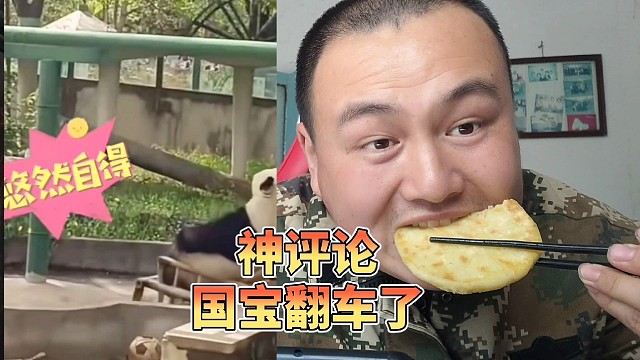 盘点全网搞笑神评论