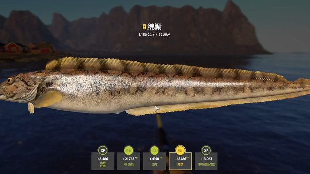 挪威海。星绵鳚