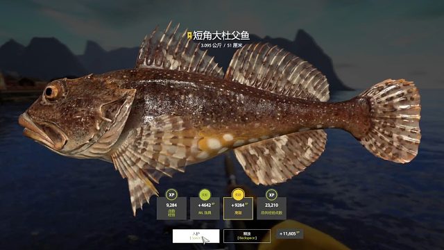 挪威海。星短角大杜父鱼