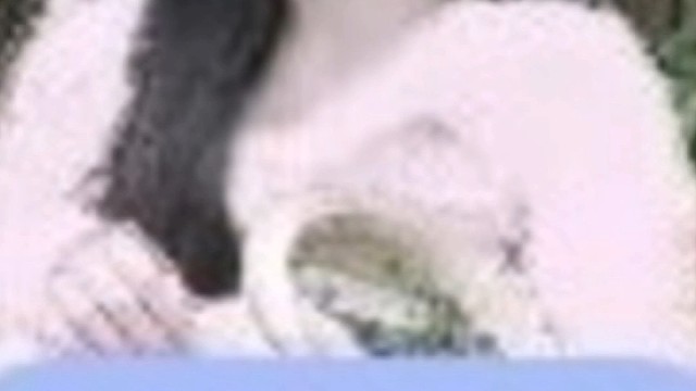 兜兜转转，一切还是重新开始