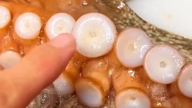 竟然还有这种玩法