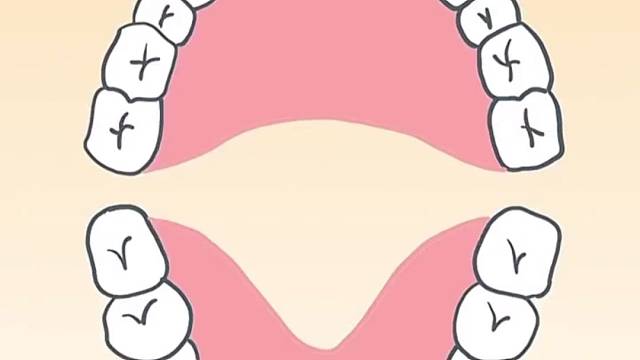 六龄牙是哪颗，有多重要？