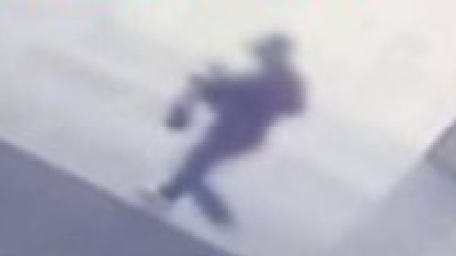 无故将猫锁快递柜，救出时猫吓到发抖