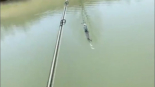 路亚就是一场骗局，扔了一上午，白条都没钓上来一条