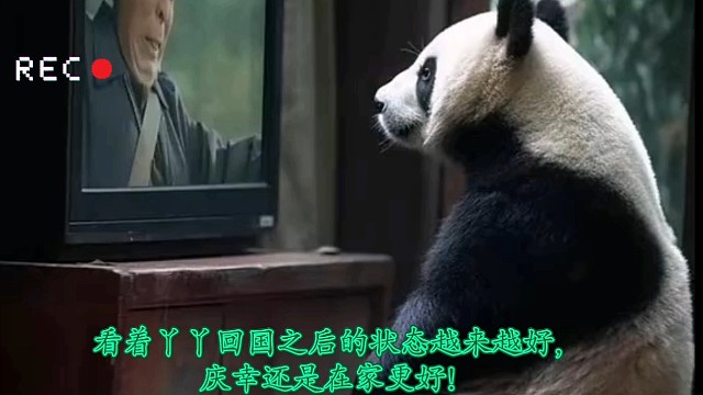 看着现在的丫丫，比刚回来好多了，很庆幸，还是在自己家好！