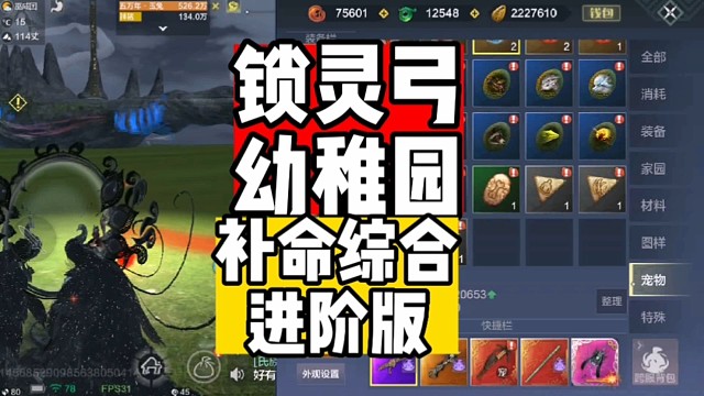 坐骑补命进阶版本