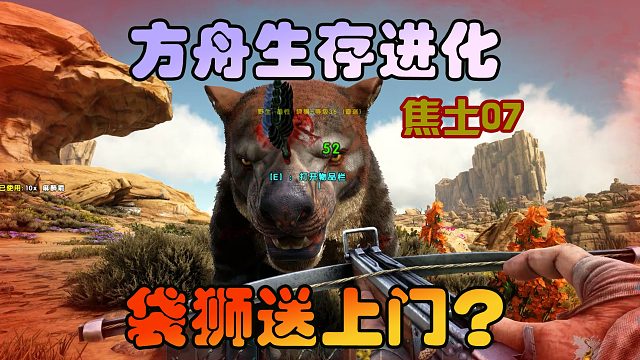 方舟生存进化 焦土07 这头袋狮是看上我了？